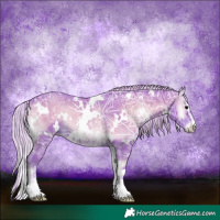 Horse Color:Watercolor White Spotted Silver Blue Onyx Ice Sabino Rabicano 