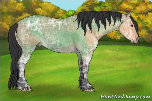 Horse Color:Bay Ice Dun Rabicano 