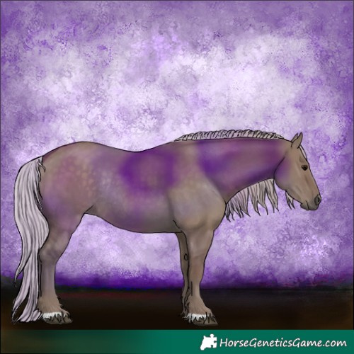 Horse Color:Silver Grullo Rabicano 