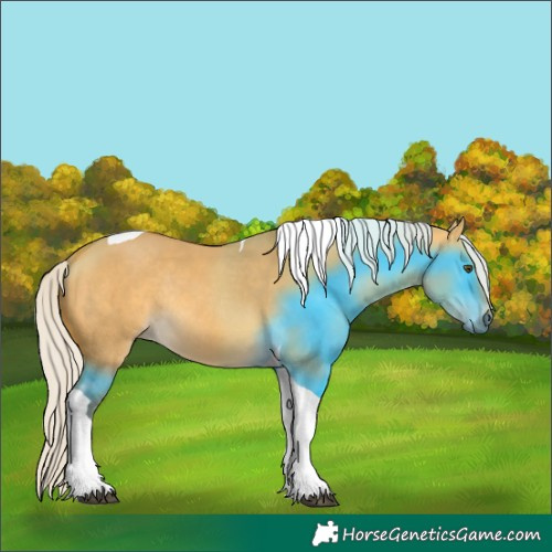 Horse Color:Silver Buckskin Dun Tobiano Rabicano 