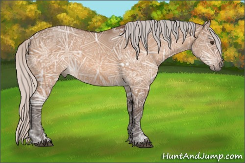Horse Color:Silver Brown Ice Dun Sabino Rabicano 