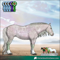 Horse Color:Watercolor Silver Brown Ice Dun Tobiano Rabicano 
