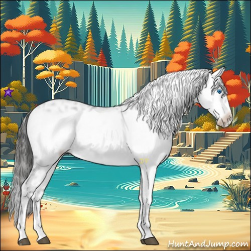 Horse Color:Liver Chestnut Frame 