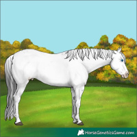 Horse Color:Black Frame 