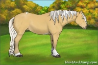 Horse Color:Silver Buckskin Sabino Tobiano Rabicano 