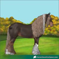 Horse Color:Liver Chestnut Tobiano 