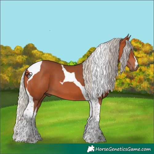 Horse Color:Silver Bay Tobiano 