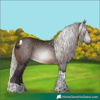 Horse Color:Gray Silver Brown Tobiano 