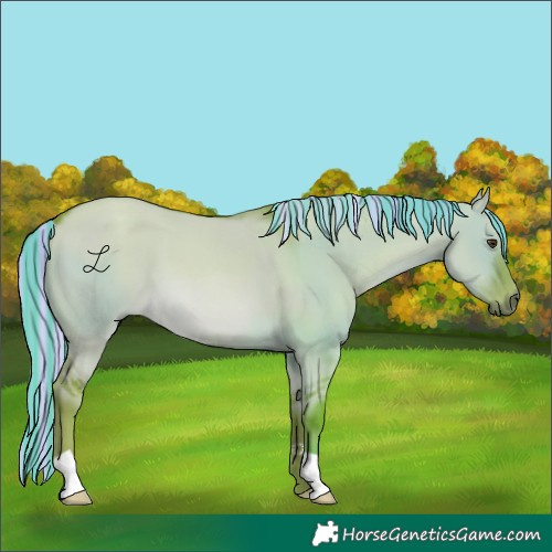 Horse Color:Painted Watercolor Red Dun 