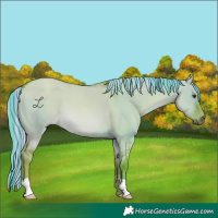 Horse Color:Painted Watercolor Red Dun 