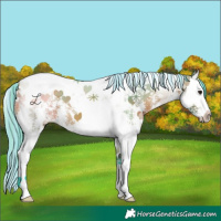 Horse Color:Painted Watercolor Bay Sabino Splash Tobiano 