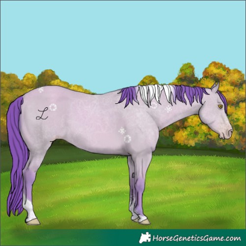 Horse Color:Watercolor Amber Champagne Tobiano