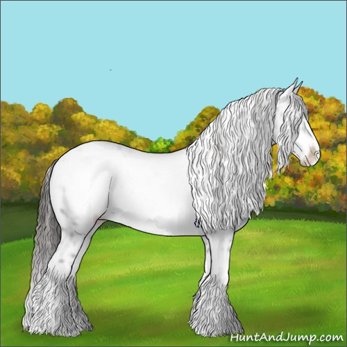 Horse Color:Liver Chestnut Frame 