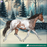 Horse Color:Bay Roan Tobiano Frame Appaloosa 