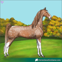 Horse Color:Chestnut Splash Tobiano Snowflake Varnish