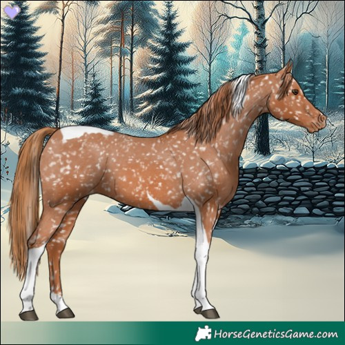 Horse Color:Chestnut Tobiano Snowflake Varnish