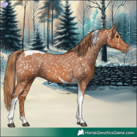 Horse Color:Chestnut Tobiano Snowflake Varnish