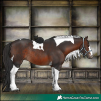 Horse Color:Brown Tobiano Rabicano