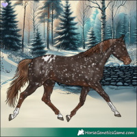 Horse Color:Liver Chestnut Tobiano Snowflake Varnish 