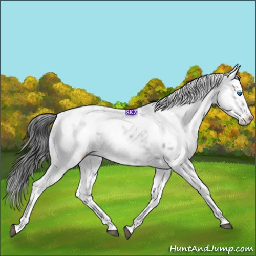 Horse Color:Black Frame 