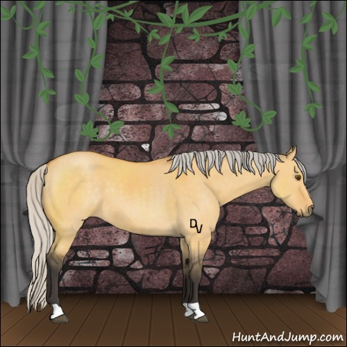 Horse Color:Silver Buckskin Dun