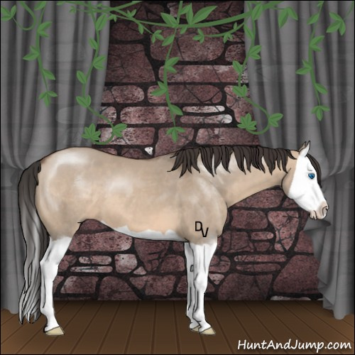 Horse Color:Brown Dun Splash 