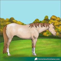 Horse Color:Bay Pearl Dun