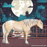 Horse Color:Silver Buckskin Pearl Blanket Rabicano 