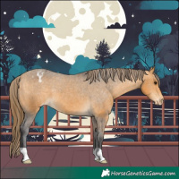 Horse Color:Buckskin Varnish 