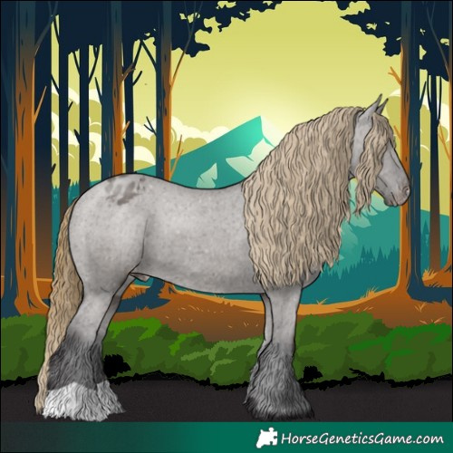 Horse Color:Smoky Grullo Appaloosa 