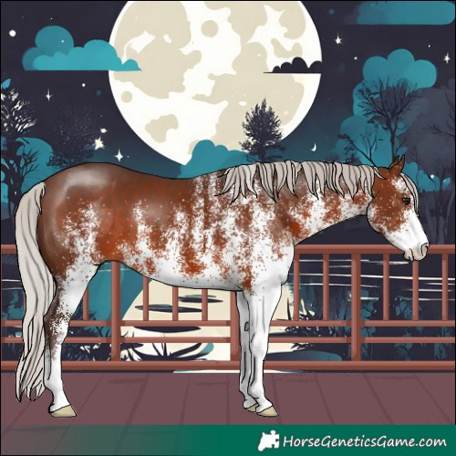 Horse Color:White Spotted Silver Brown
