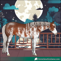 Horse Color:White Spotted Silver Brown 