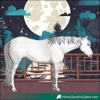 Horse Color:Gray Amber Champagne Sabino Rabicano 