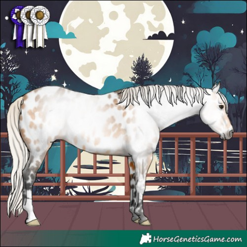 Horse Color:Gray Silver Buckskin Near Leopard Rabicano