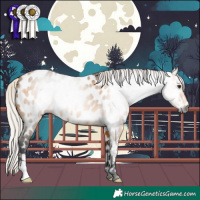 Horse Color:Gray Silver Buckskin Near Leopard Rabicano 