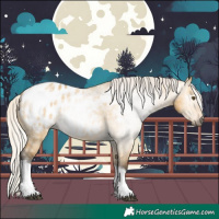 Horse Color:Gray Silver Buckskin Dun Tobiano Appaloosa 