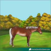 Horse Color:Silver Brown