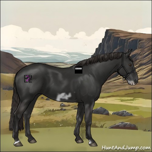 Horse Color:Liver Chestnut Frame 