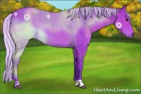 Horse Color:Watercolor Silver Brown 