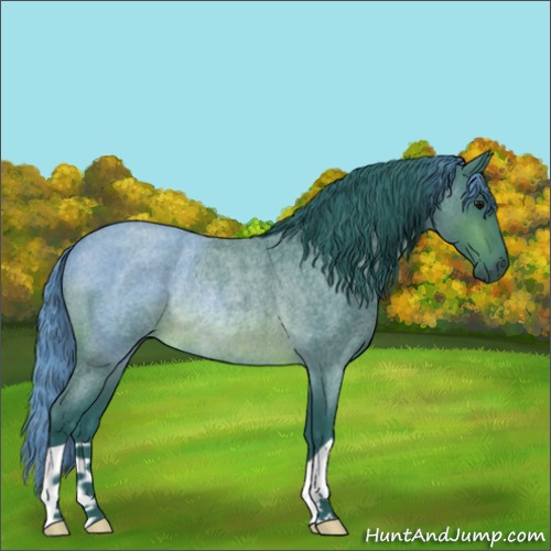 Horse Color:Watercolor Brown Roan Rabicano 