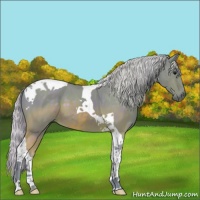 Horse Color:Watercolor Silver Brown Tobiano 