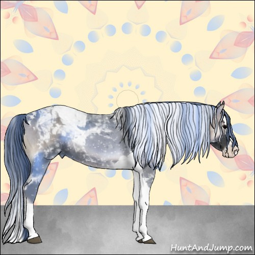 Horse Color:Blue Onyx Splash Tobiano
