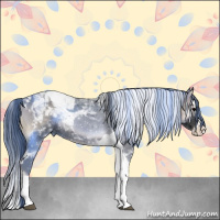Horse Color:Blue Onyx Splash Tobiano 