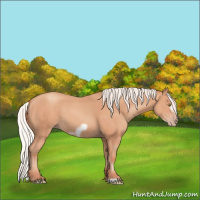 Horse Color:Silver Amber Champagne Frame 
