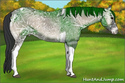 Horse Color:Blue Onyx Ice Tobiano Rabicano 