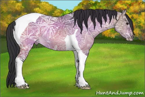 Horse Color:Brown Ice Dun Tobiano Rabicano 