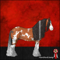 Horse Color:White Spotted Bay Splash Rabicano 