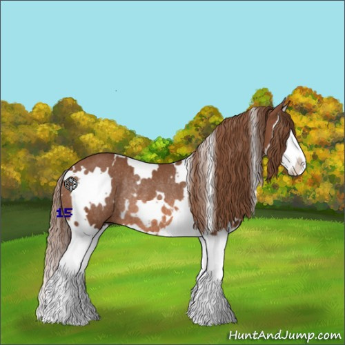 Horse Color:White Spotted Chestnut Splash Rabicano