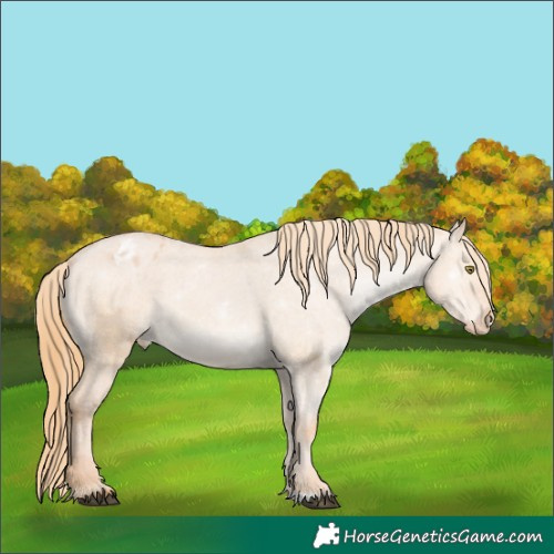 Horse Color:Red Dun Varnish