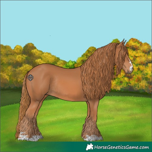 Horse Color:Chestnut Rabicano 